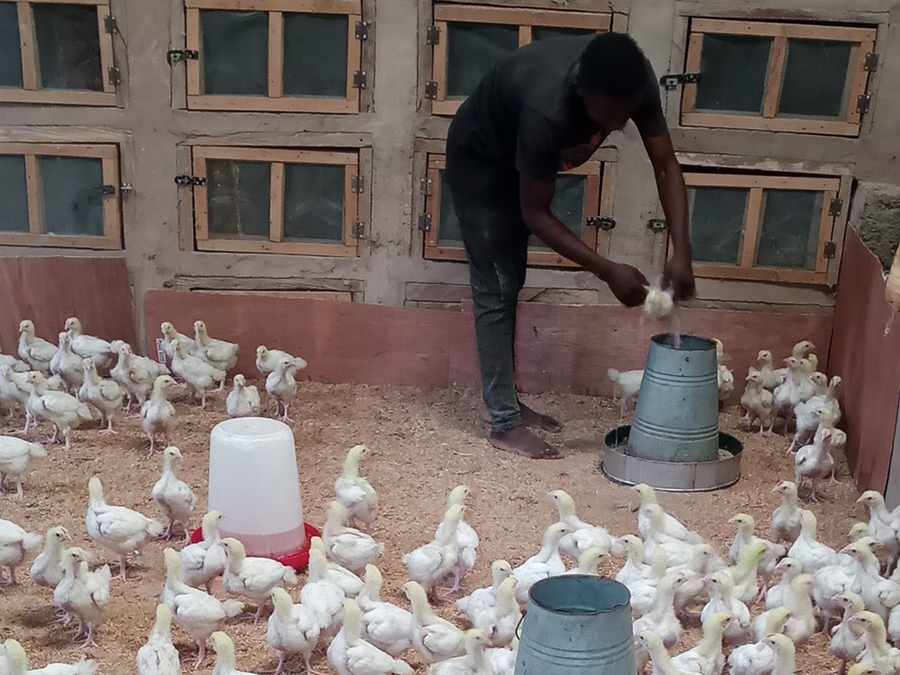 A CORAfrica demonstration farm